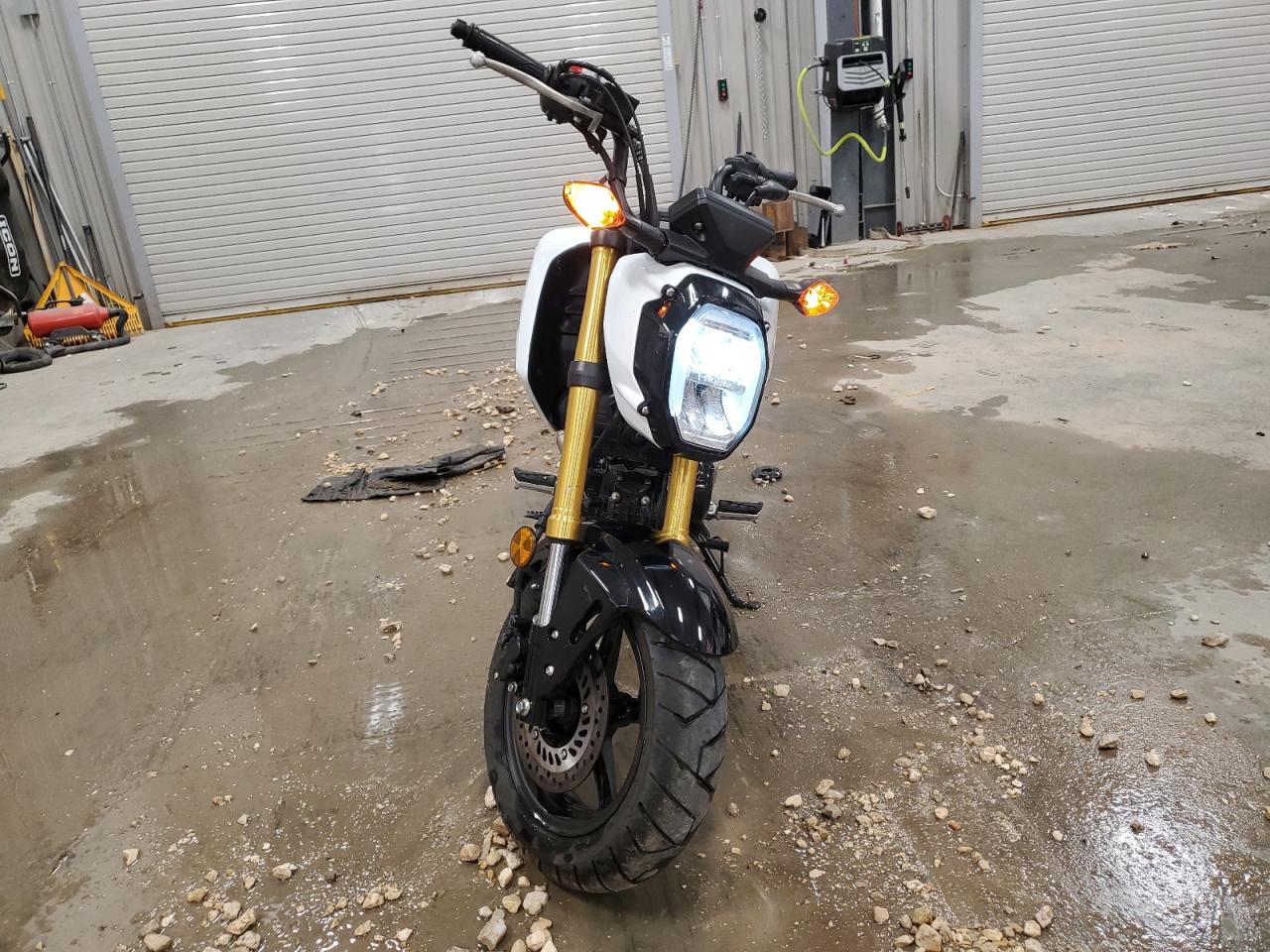 Honda Grom 125 Image 2