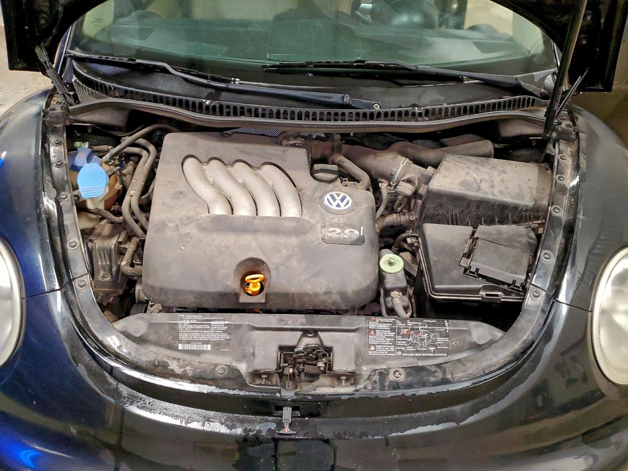 Volkswagen Beetle Gl Image 11