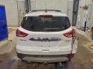 Ford Escape Titanium Image 8