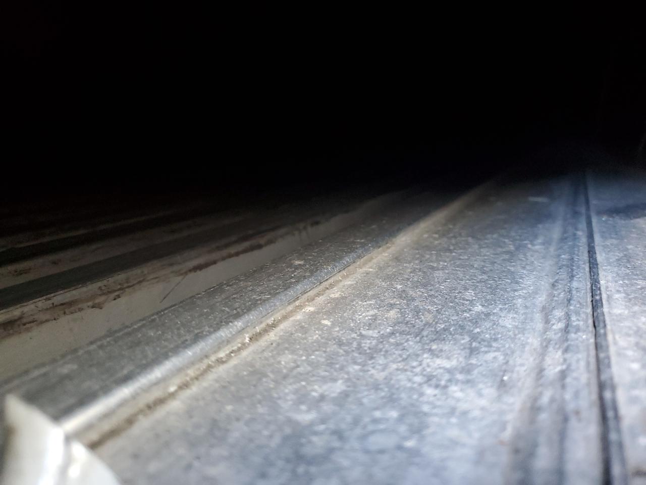 Great Dane Reefer Image 9